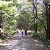 WALKING TRAILS