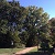 WALKING TRAILS
