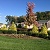 FALL COLORS