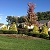 FALL COLORS 1