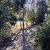 WALKING TRAILS 1