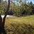 WALKING TRAILS 1