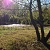 WALKING TRAILS 1